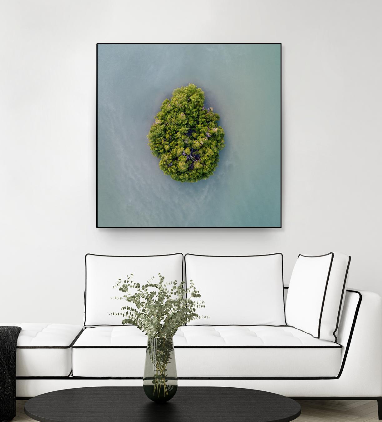 Lonely Island by Pexels on GIANT ART - green sea scene