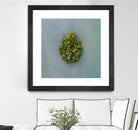 Lonely Island by Pexels on GIANT ART - green sea scene