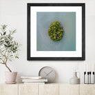 Lonely Island by Pexels on GIANT ART - green sea scene