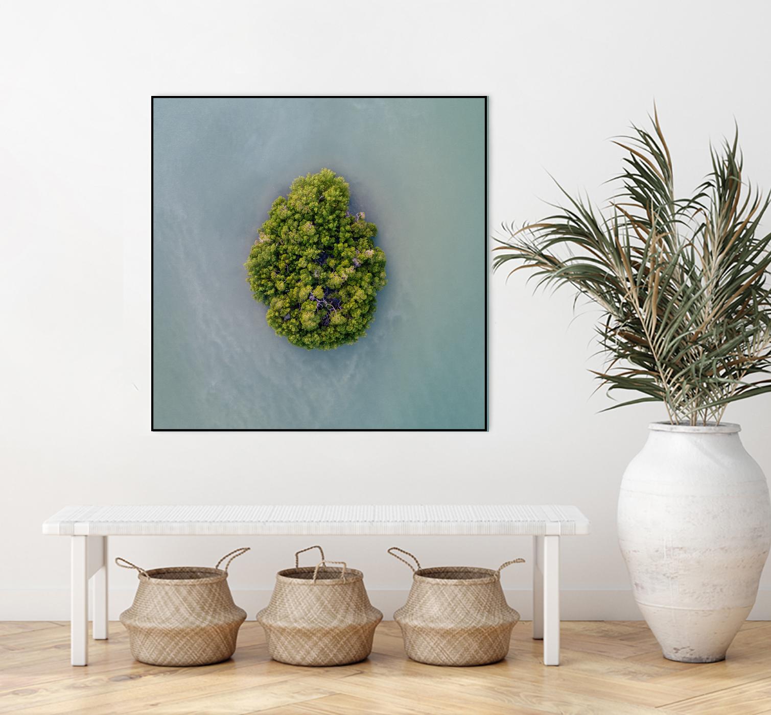 Lonely Island by Pexels on GIANT ART - green sea scene