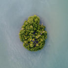 Lonely Island by Pexels on GIANT ART - green sea scene