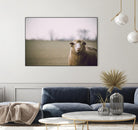 Baa 167 by Pexels on GIANT ART - white animals