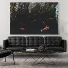 Hiding Koi by Pexels on GIANT ART - orange animals