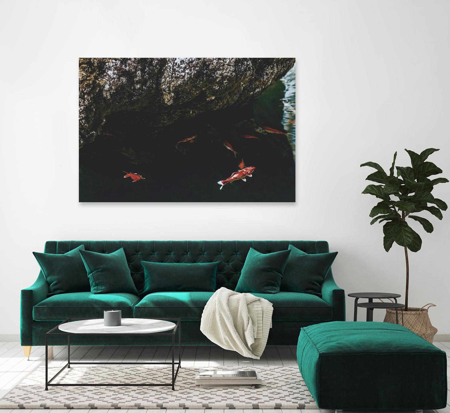 Hiding Koi by Pexels on GIANT ART - orange animals
