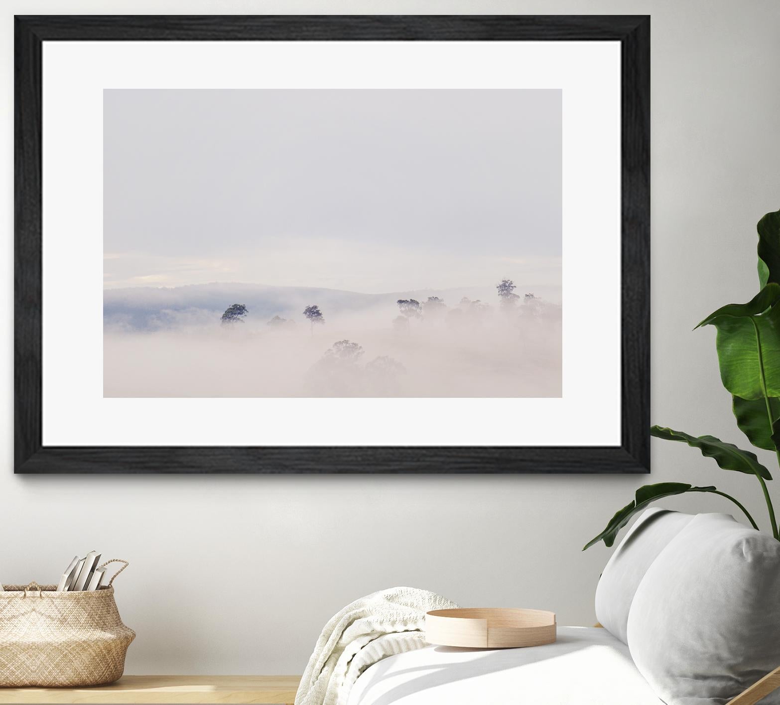 Top Trees by Pexels on GIANT ART - white landscape