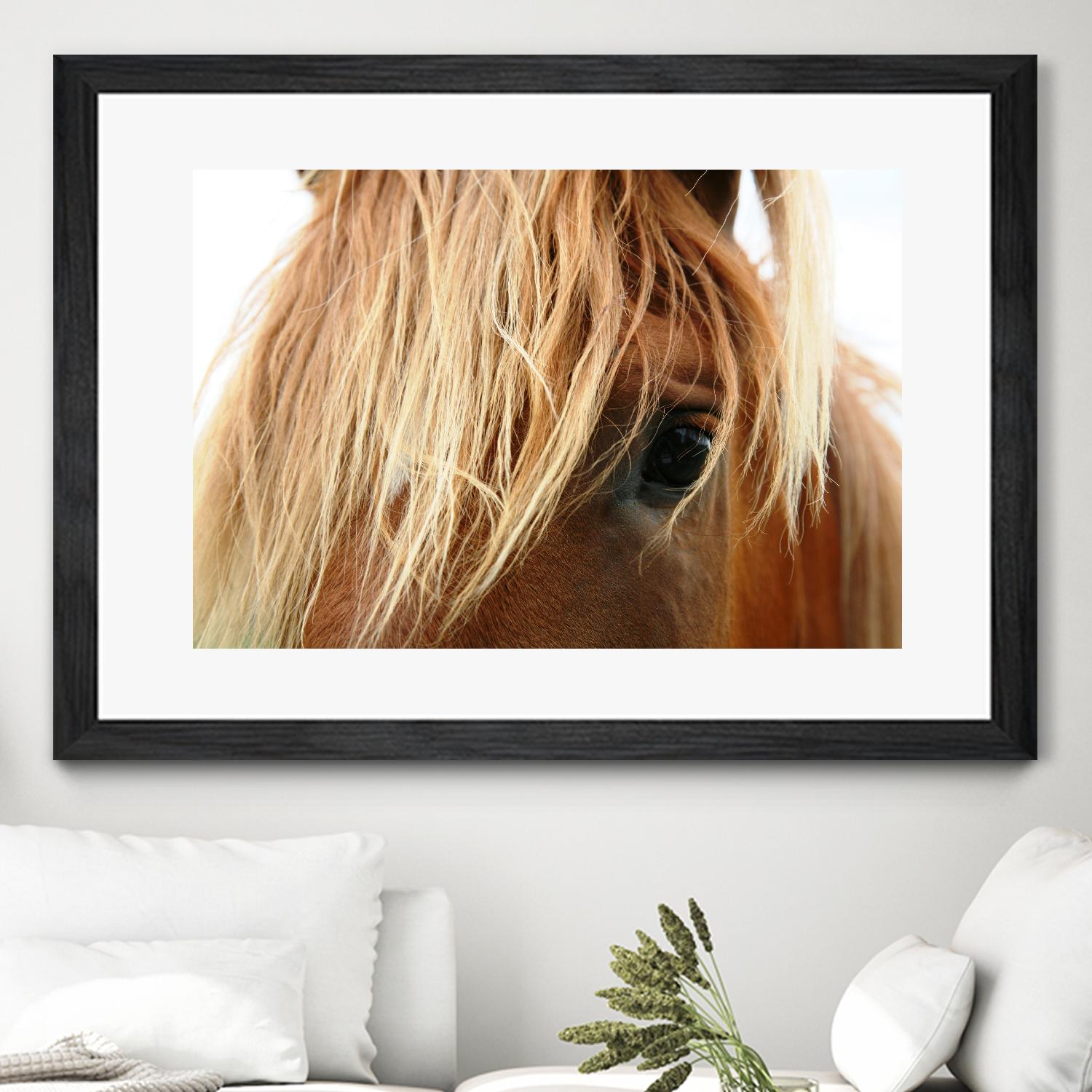 Horsey by Pexels on GIANT ART - white animals