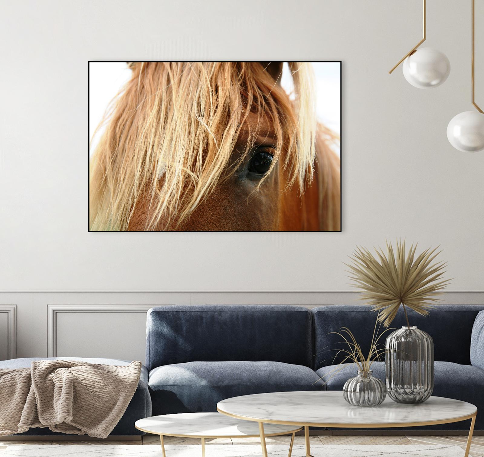 Horsey by Pexels on GIANT ART - white animals