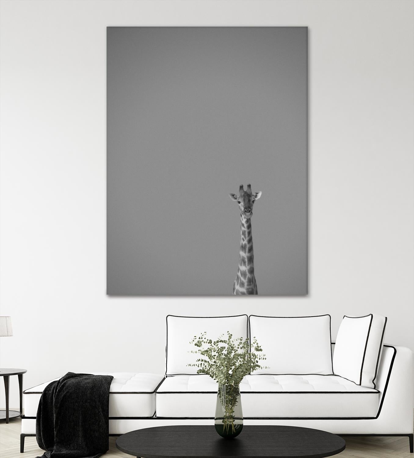 Hello there by Pexels on GIANT ART - black animals