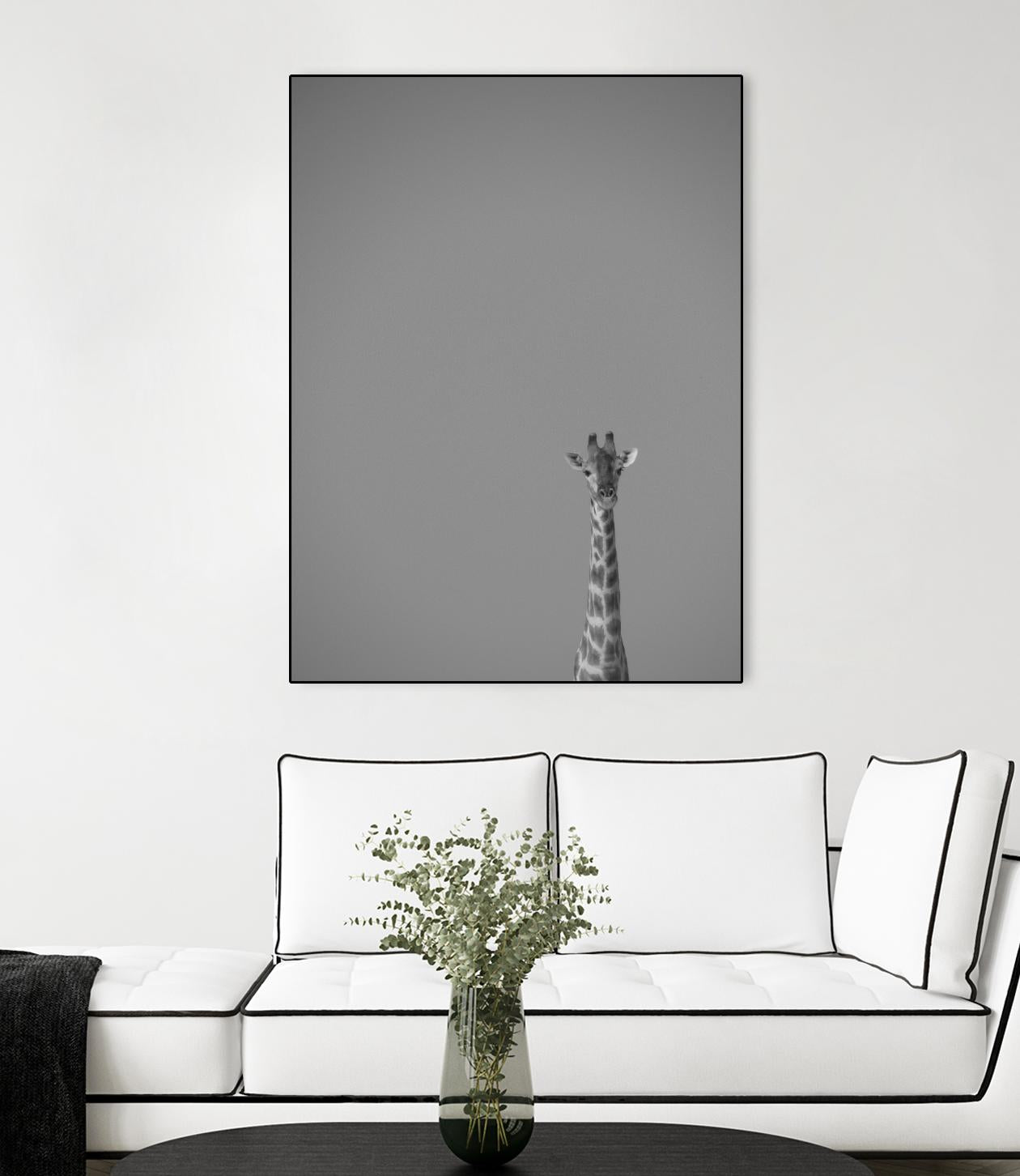 Hello there by Pexels on GIANT ART - black animals