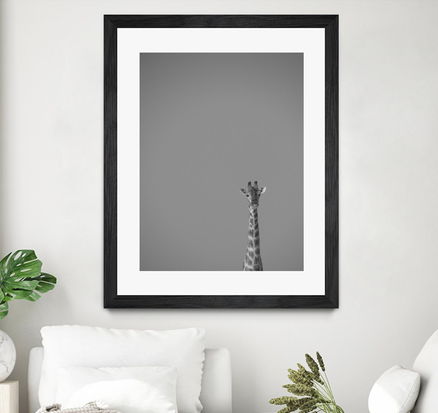Hello there by Pexels on GIANT ART - black animals