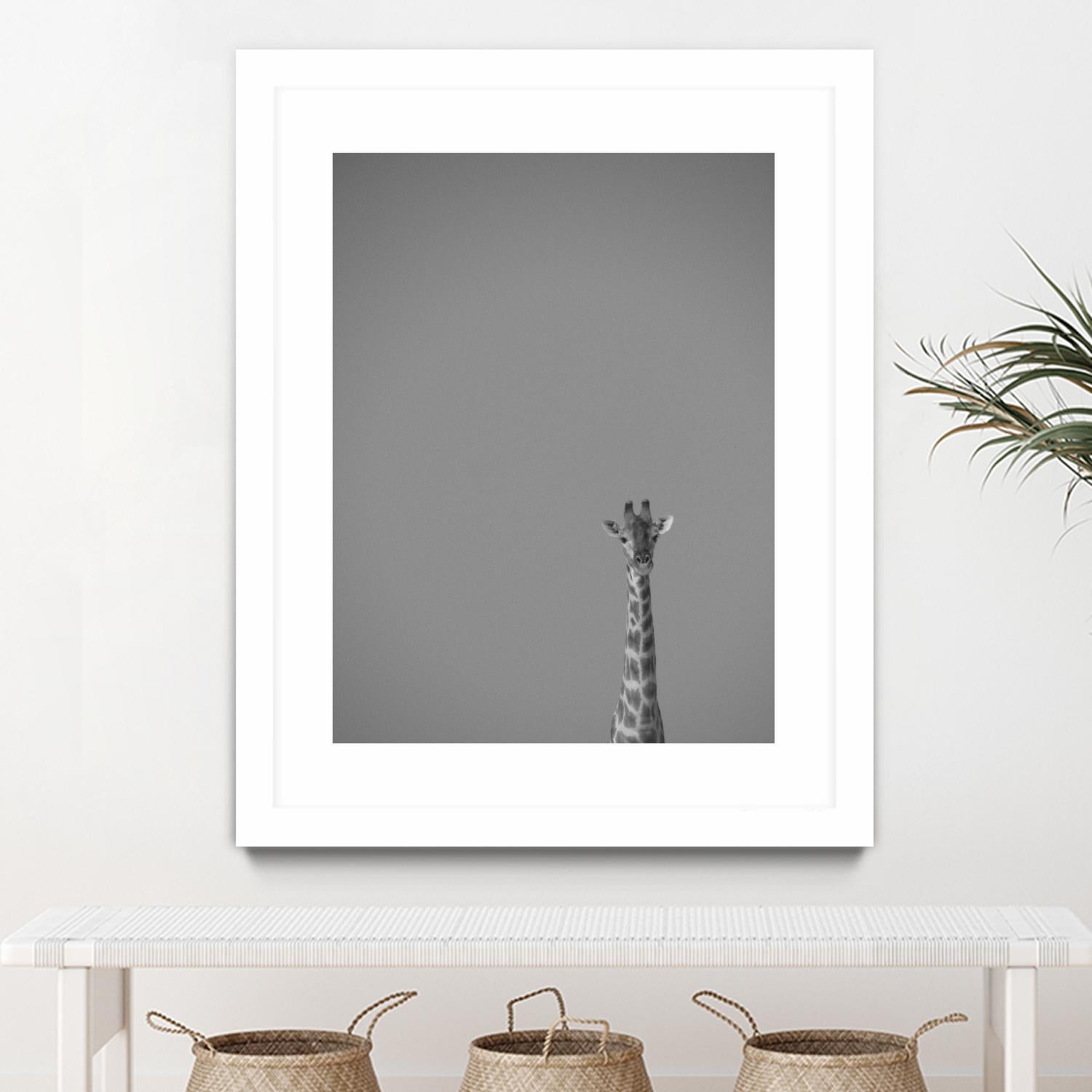 Hello there by Pexels on GIANT ART - black animals
