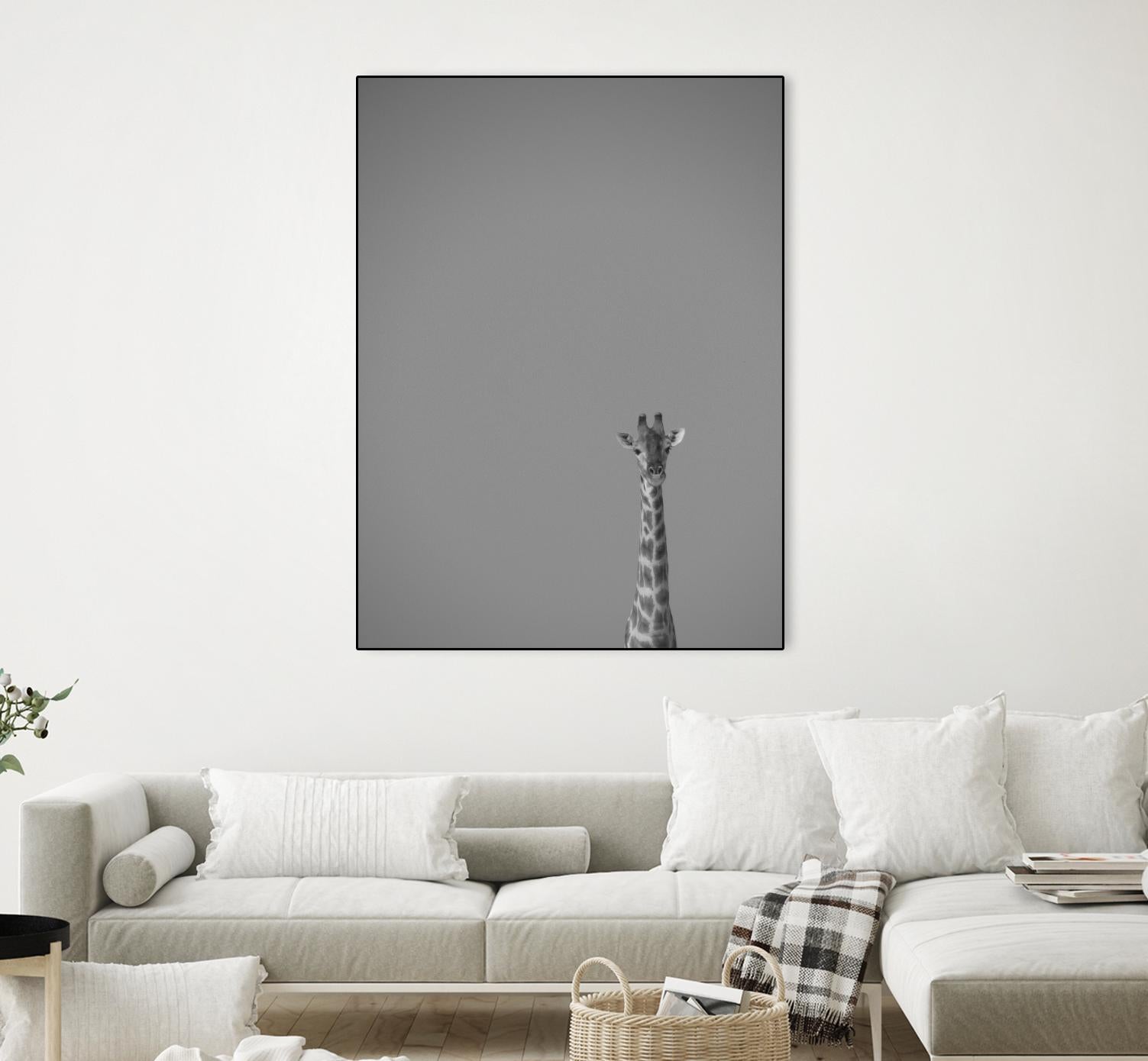 Hello there by Pexels on GIANT ART - black animals