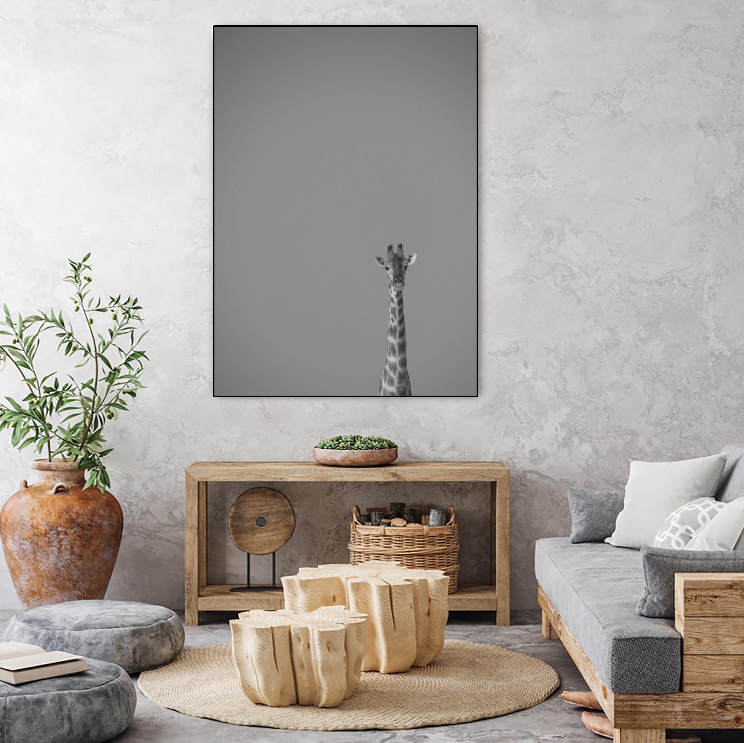 Hello there by Pexels on GIANT ART - black animals