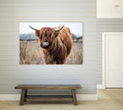 Grazing by Pexels on GIANT ART - black animals