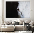 Marguerite by Pexels on GIANT ART - white animals