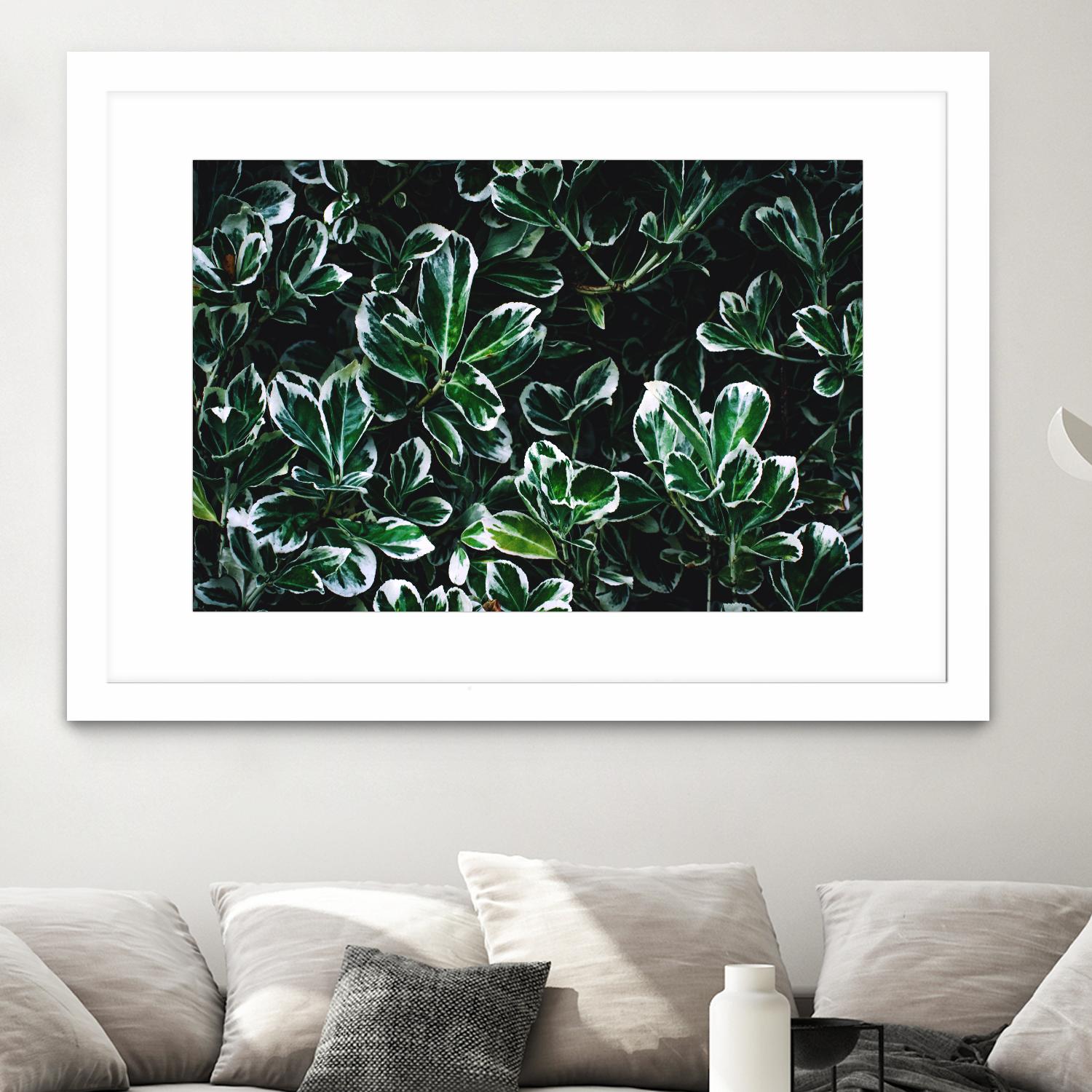 Colored leaves by Pexels on GIANT ART - white botany