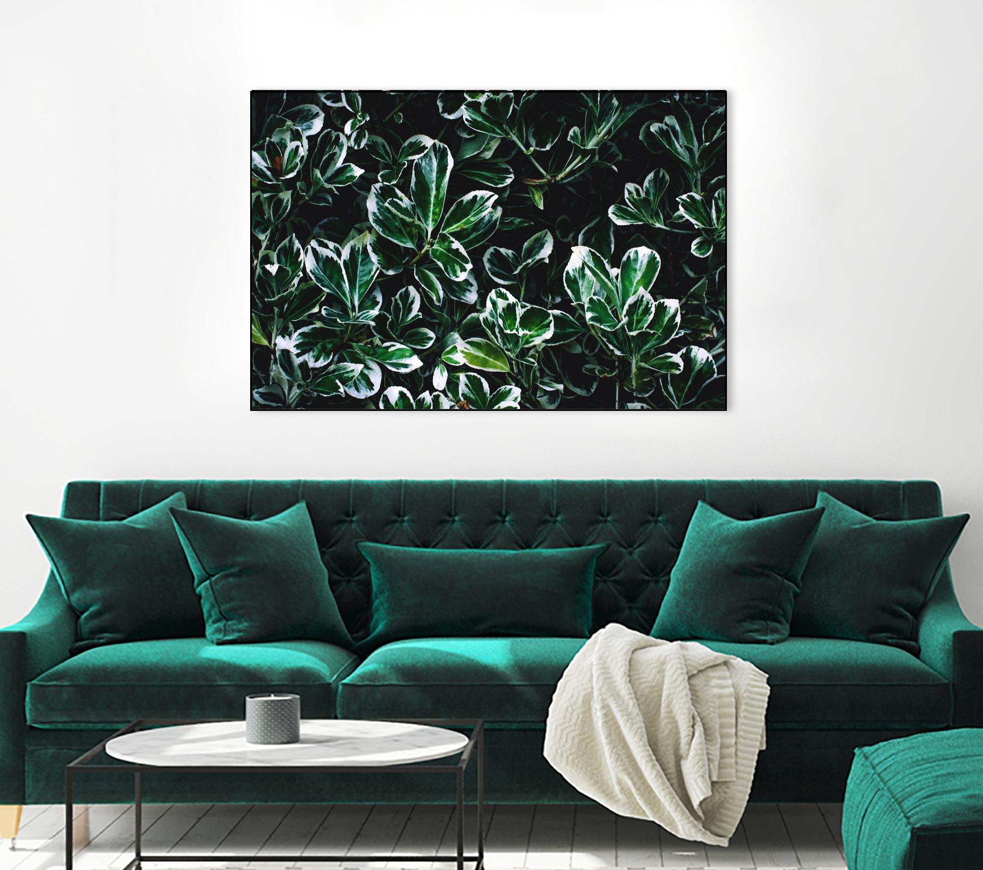Colored leaves by Pexels on GIANT ART - white botany