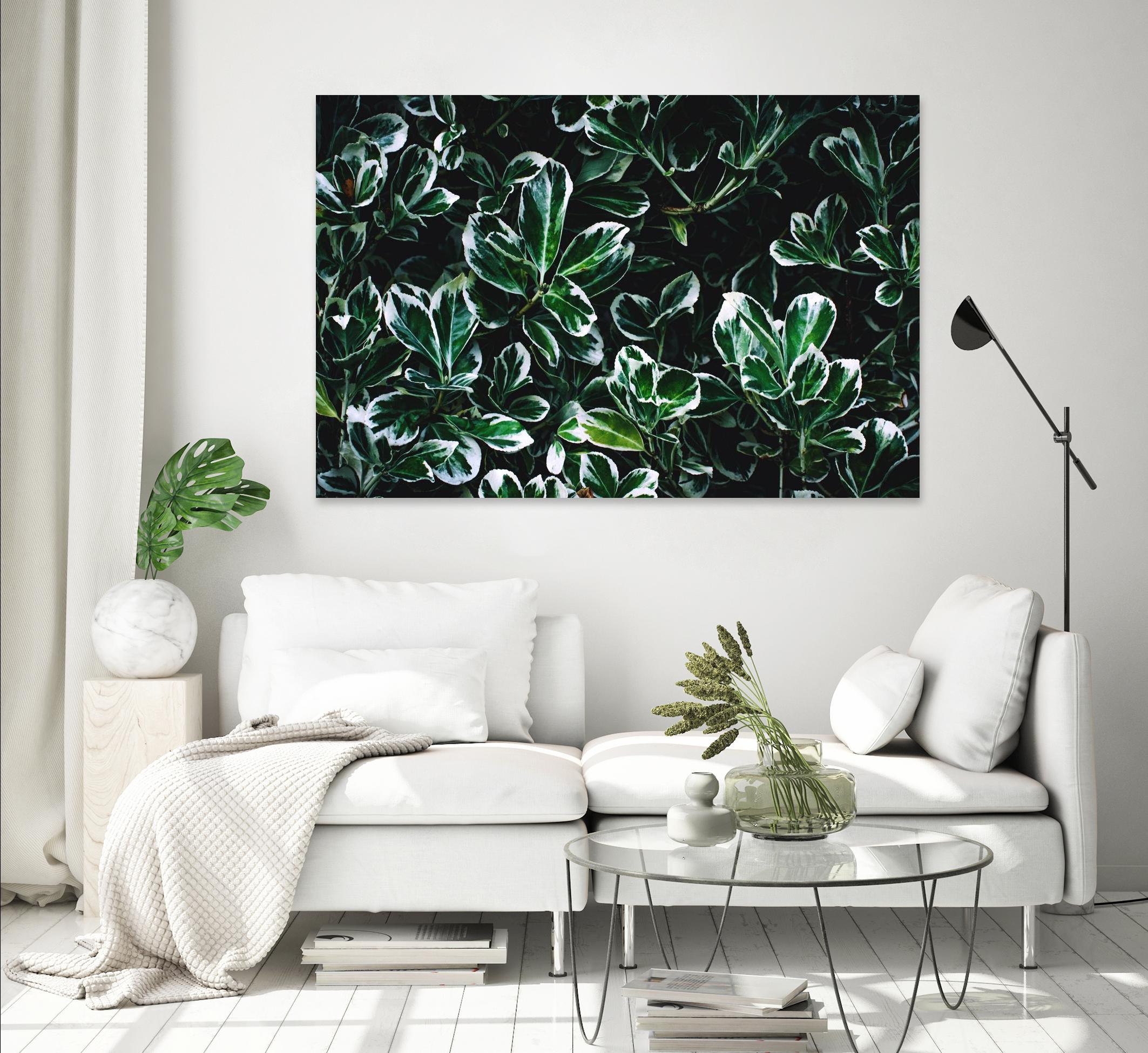 Colored leaves by Pexels on GIANT ART - white botany