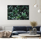 Colored leaves by Pexels on GIANT ART - white botany
