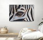 Zebra by Pexels on GIANT ART - white animals