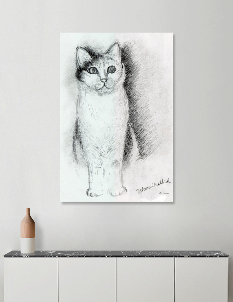 «Charcoal Pencil Cat» Canvas Print by Deborah Willard | Curioos