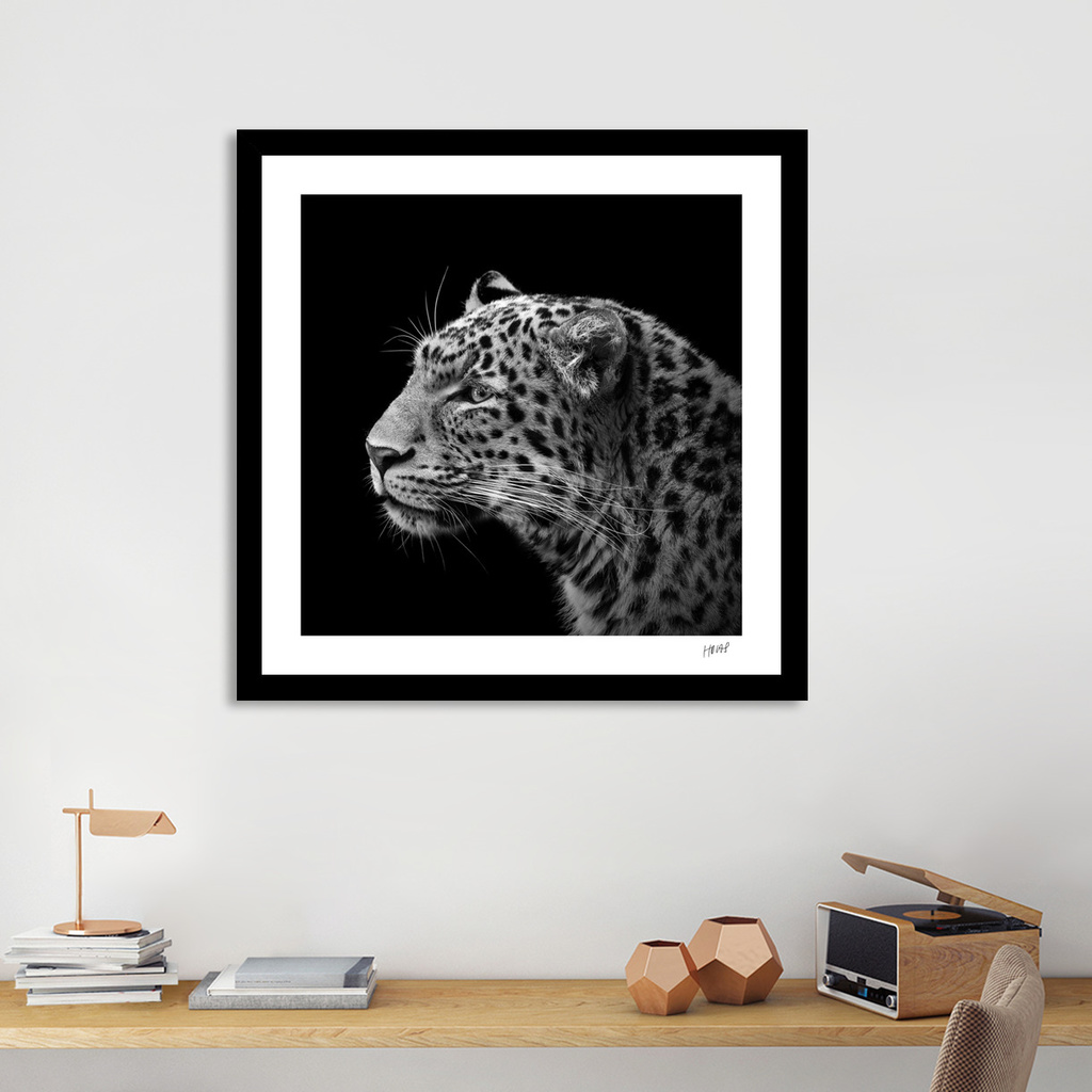 «Leopard in black and white» Art Print by Lukas Holas | Curioos