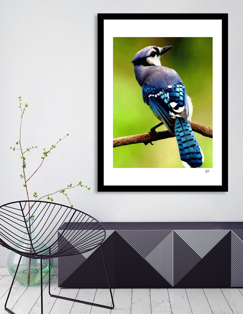 Blue Jay Wall Decal, Bird Wall Decals