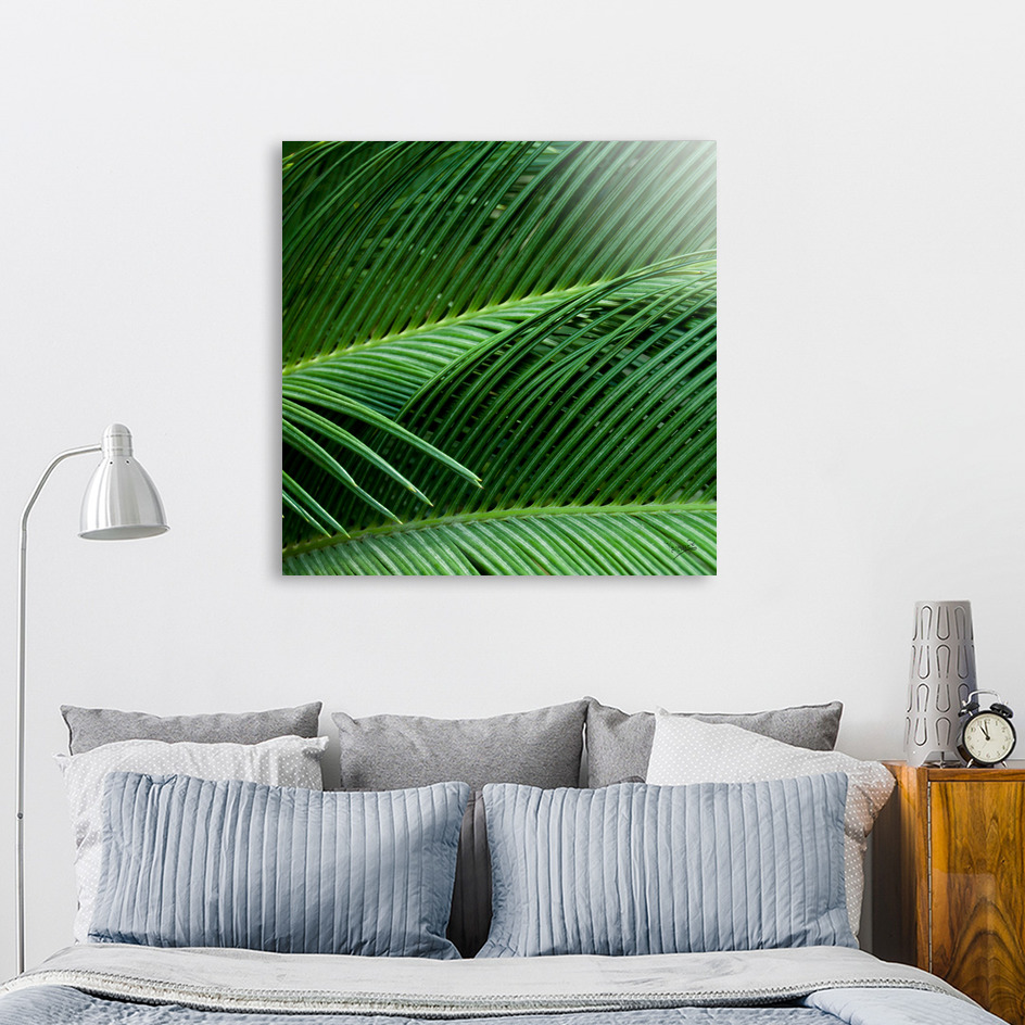 «Palm leaves I» Aluminum Print by VanessaGF | Curioos